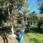 IMG-20220705-WA0025