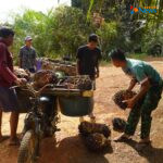 IMG-20260308-WA0033